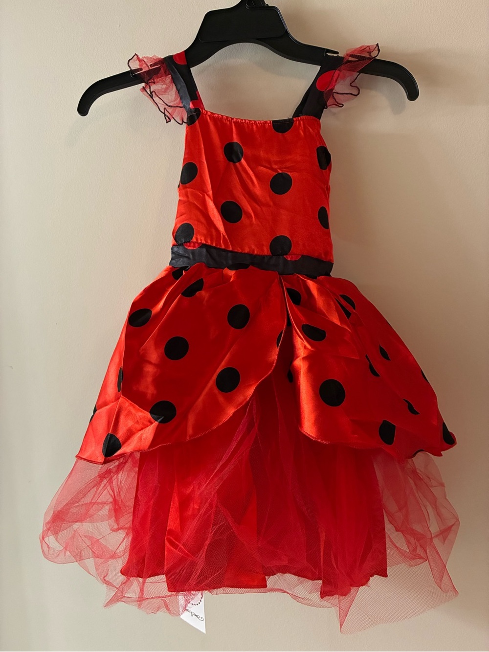 Princess Red and Black Polka Dot Ladybug Dress Costume